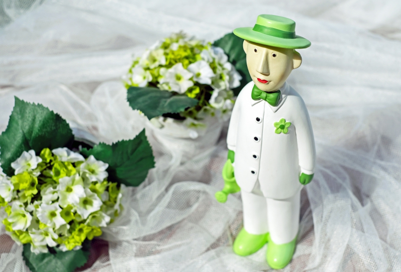 boutique-REVEST LES ROCHES-min_man-person-flower-green-toy-fig-546529-pxhere.com